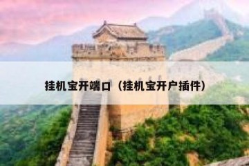 挂机宝开端口（挂机宝开户插件）