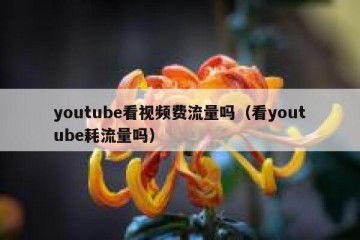 youtube看视频费流量吗（看youtube耗流量吗）