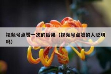 视频号点赞一次的后果（视频号点赞的人聪明吗）