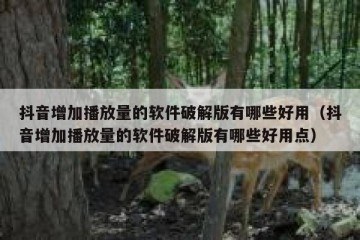 抖音增加播放量的软件破解版有哪些好用（抖音增加播放量的软件破解版有哪些好用点）