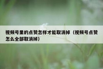 视频号里的点赞怎样才能取消掉（视频号点赞怎么全部取消掉）