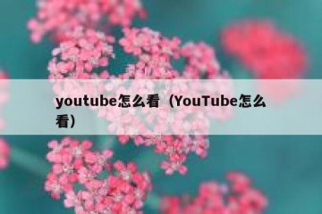 youtube怎么看（YouTube怎么看）