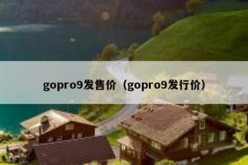 gopro9发售价（gopro9发行价）