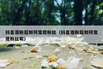 抖音涨粉后如何变现粉丝（抖音涨粉后如何变现粉丝呢）