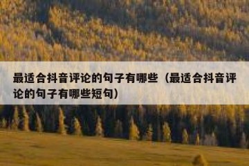 最适合抖音评论的句子有哪些（最适合抖音评论的句子有哪些短句）