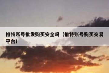 推特账号批发购买安全吗（推特账号购买交易平台）