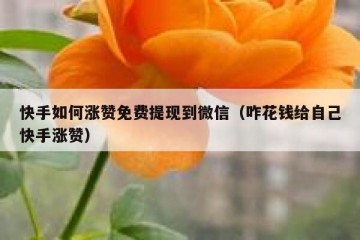 快手如何涨赞免费提现到微信（咋花钱给自己快手涨赞）