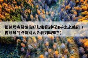 视频号点赞微信好友能看到吗知乎怎么关闭（视频号的点赞别人会看到吗知乎）