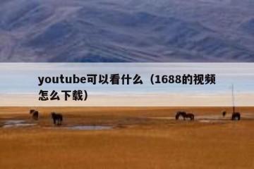 youtube可以看什么（1688的视频怎么下载）