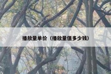 播放量单价（播放量值多少钱）
