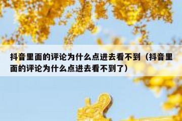 抖音里面的评论为什么点进去看不到（抖音里面的评论为什么点进去看不到了）