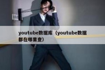 youtube数据库（youtube数据都在哪里查）