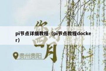 pi节点详细教程（pi节点教程docker）
