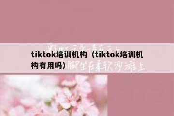 tiktok培训机构（tiktok培训机构有用吗）