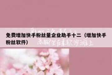 免费增加快手粉丝量企业助手十二（增加快手粉丝软件）