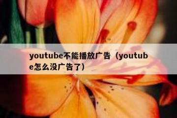 youtube不能播放广告（youtube怎么没广告了）