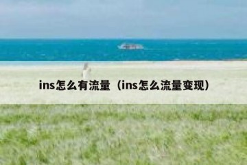 ins怎么有流量（ins怎么流量变现）