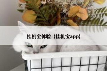 挂机宝体验（挂机宝app）