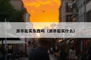 派币能买东西吗（派币能买什么）