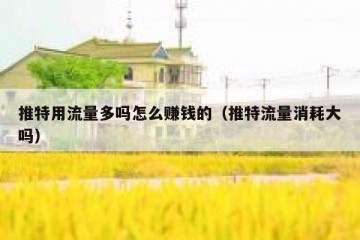 推特用流量多吗怎么赚钱的（推特流量消耗大吗）