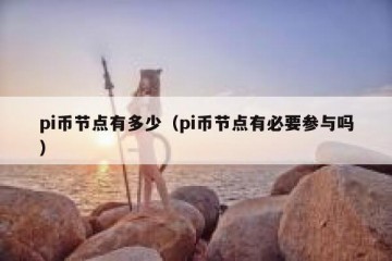pi币节点有多少（pi币节点有必要参与吗）