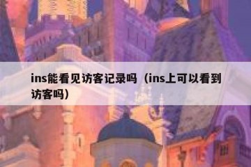 ins能看见访客记录吗（ins上可以看到访客吗）