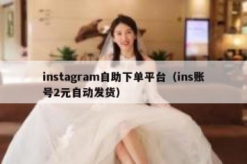 instagram自助下单平台（ins账号2元自动发货）