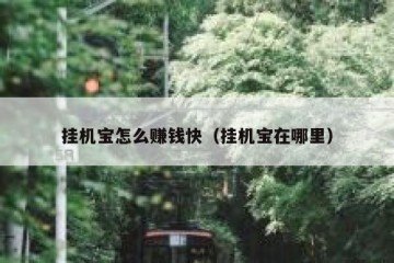 挂机宝怎么赚钱快（挂机宝在哪里）