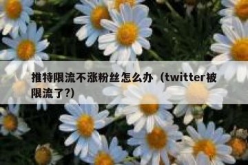 推特限流不涨粉丝怎么办（twitter被限流了?）