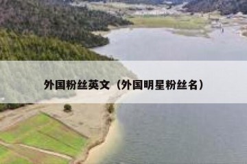 外国粉丝英文（外国明星粉丝名）