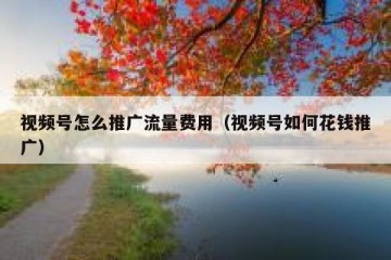 视频号怎么推广流量费用（视频号如何花钱推广）