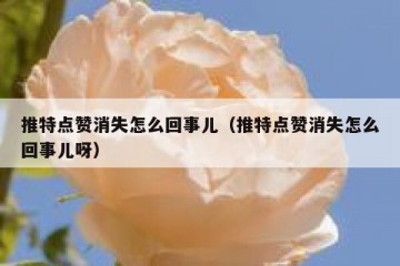 推特点赞消失怎么回事儿（推特点赞消失怎么回事儿呀）