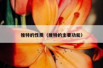 推特的性质（推特的主要功能）