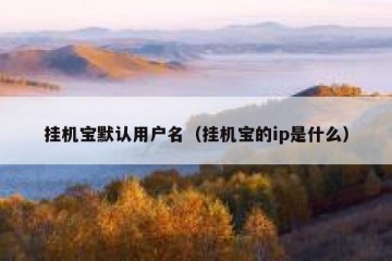 挂机宝默认用户名（挂机宝的ip是什么）