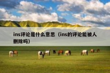 ins评论是什么意思（ins的评论能被人删除吗）