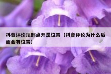 抖音评论顶部点开是位置（抖音评论为什么后面会有位置）