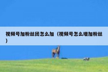 视频号加粉丝团怎么加（视频号怎么增加粉丝）