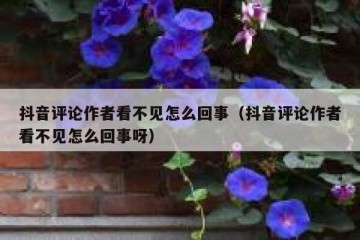 抖音评论作者看不见怎么回事（抖音评论作者看不见怎么回事呀）