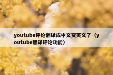 youtube评论翻译成中文变英文了（youtube翻译评论功能）