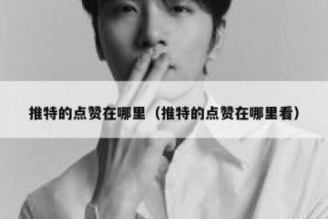 推特的点赞在哪里（推特的点赞在哪里看）