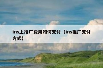 ins上推广费用如何支付（ins推广支付方式）