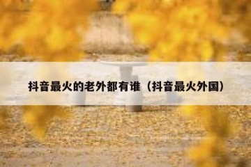 抖音最火的老外都有谁（抖音最火外国）