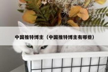 中国推特博主（中国推特博主有哪些）