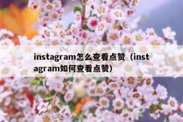 instagram怎么查看点赞（instagram如何查看点赞）