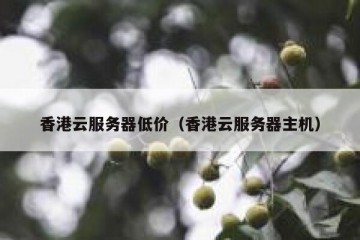 香港云服务器低价（香港云服务器主机）