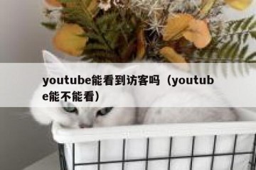 youtube能看到访客吗（youtube能不能看）