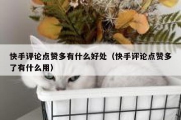 快手评论点赞多有什么好处（快手评论点赞多了有什么用）