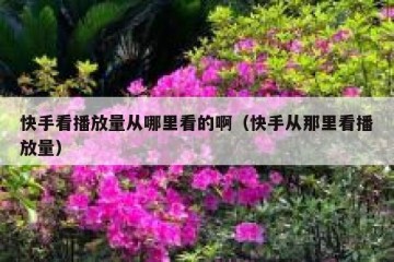 快手看播放量从哪里看的啊（快手从那里看播放量）