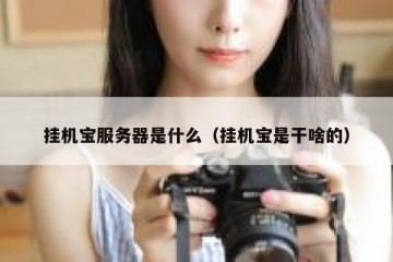 挂机宝服务器是什么（挂机宝是干啥的）
