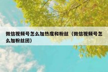 微信视频号怎么加热度和粉丝（微信视频号怎么加粉丝团）
